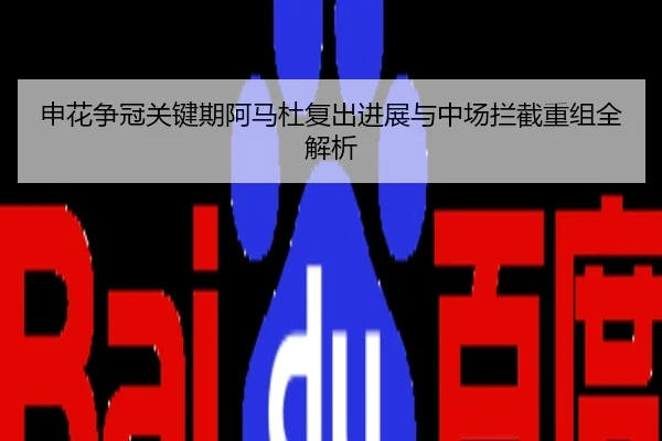 申花争冠关键期阿马杜复出进展与中场拦截重组全解析
