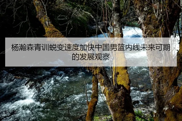 杨瀚森青训蜕变速度加快中国男篮内线未来可期的发展观察